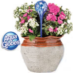 aqua_globes3.jpg